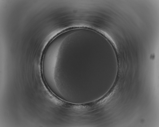 X0000097000943200802151411