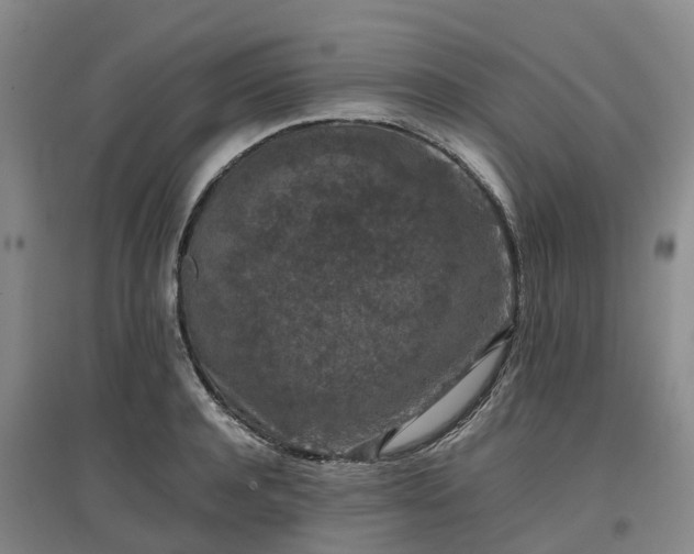 X0000097000944200802151411
