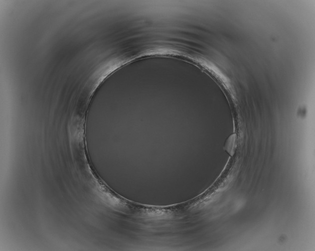 X0000097000945200802151411