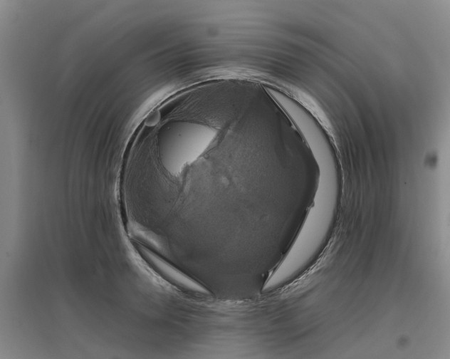 X0000097000946200802151411