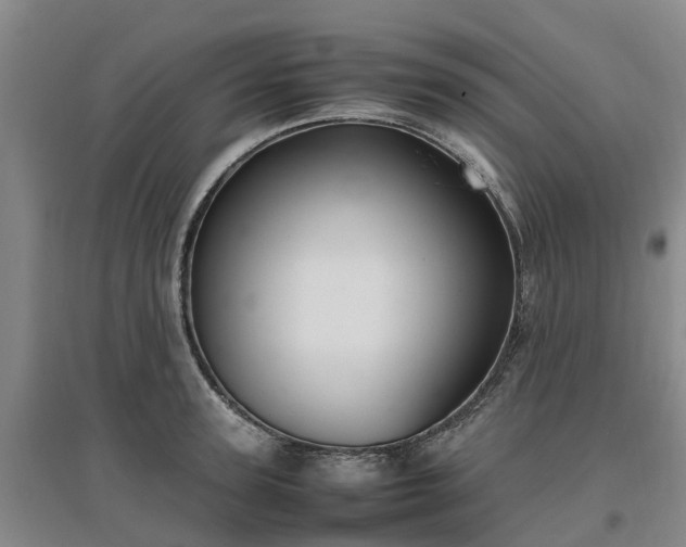 X0000097000947200802151411