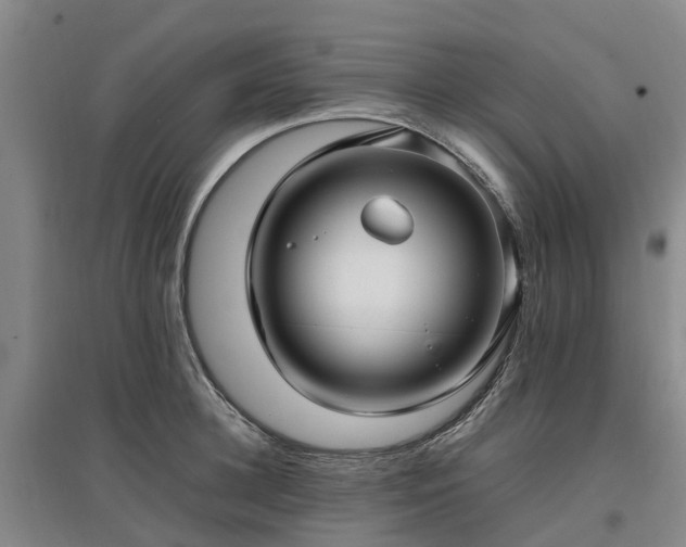 X0000097000948200802151411