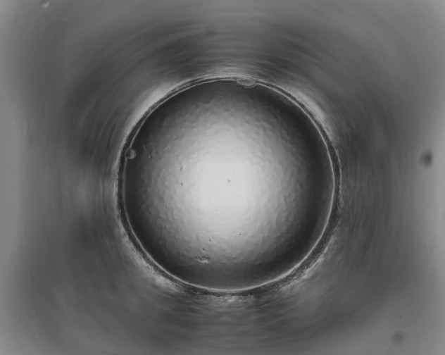 X0000097000949200802151411