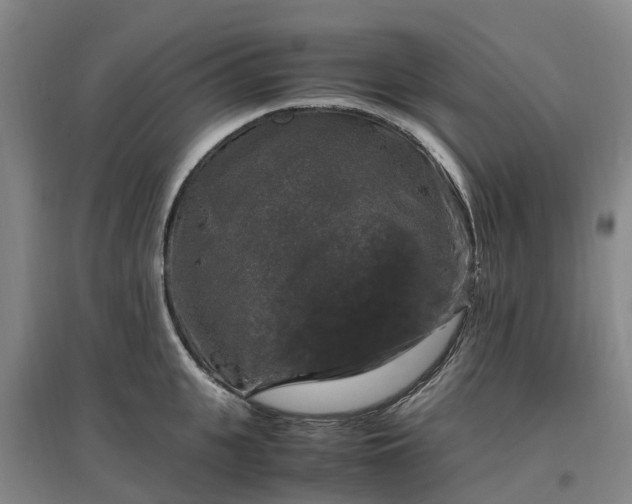 X0000097000951200802151411