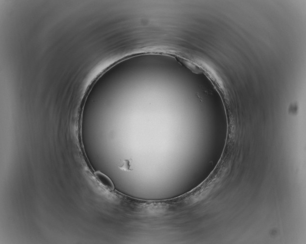 X0000097000952200802151411