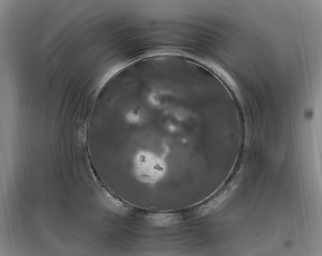 X0000097000953200802151411