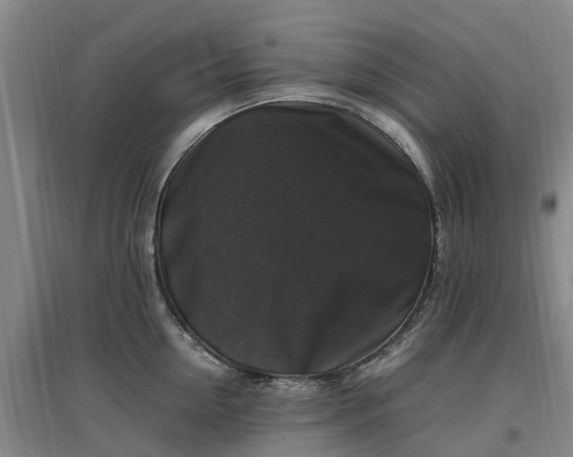 X0000097000954200802151411