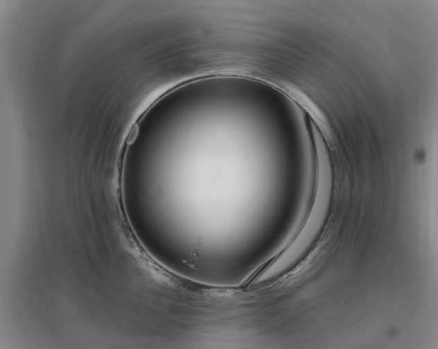 X0000097000956200802151411