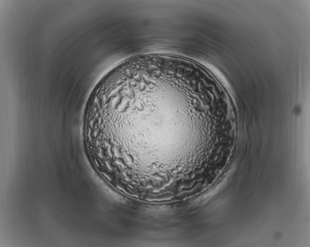 X0000097000957200802151411