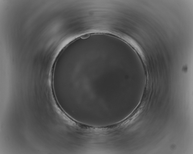 X0000097000958200802151411