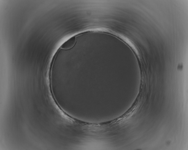 X0000097000959200802151411