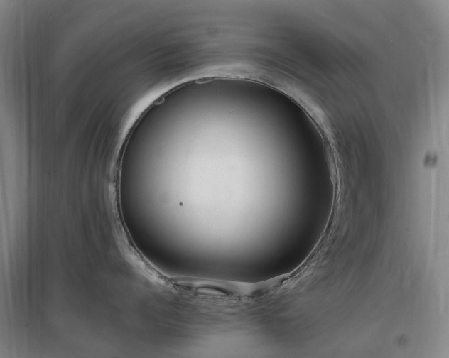 X0000097000960200802151411