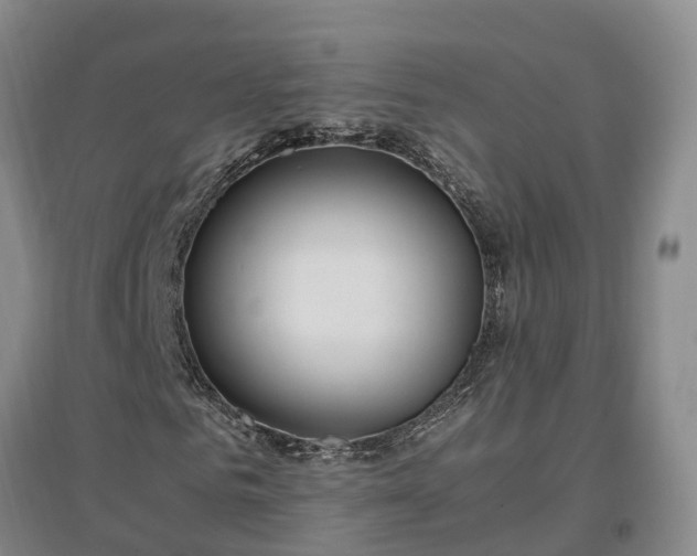 X0000097000961200802151411