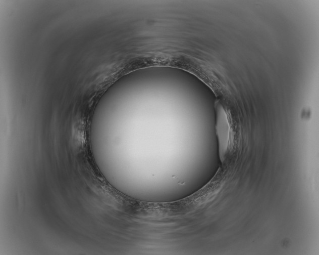 X0000097000962200802151411