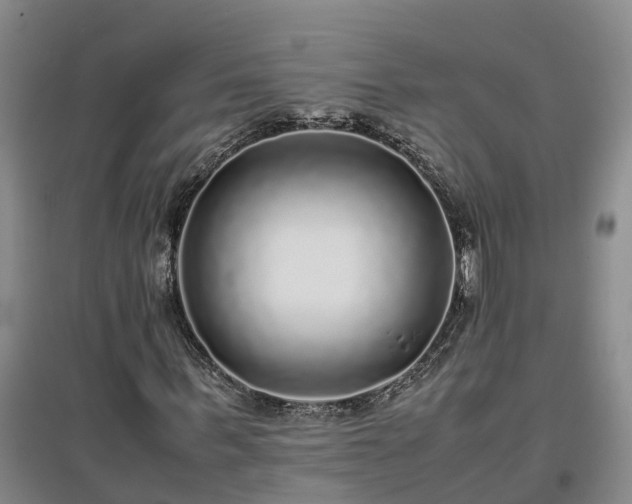 X0000097000963200802151411