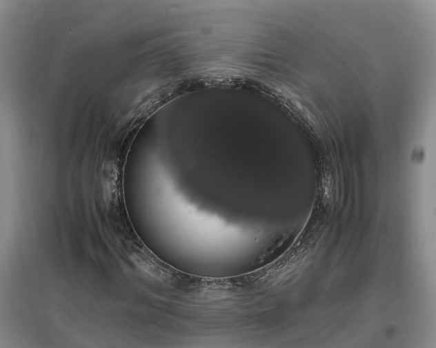 X0000097000964200802151411