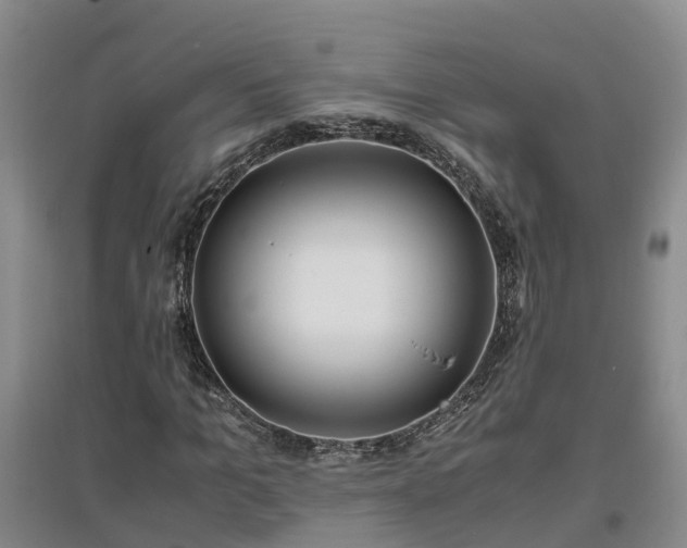 X0000097000965200802151411