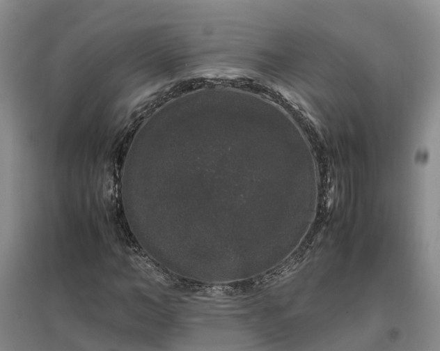 X0000097000966200802151411