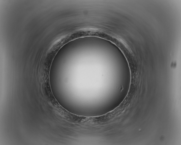 X0000097000967200802151411