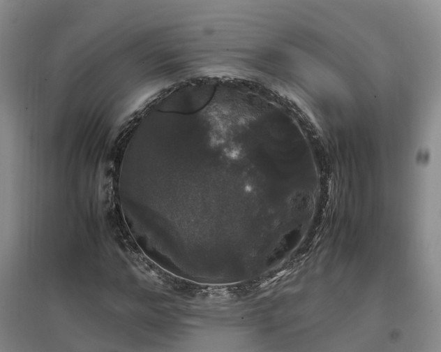 X0000097000968200802151411