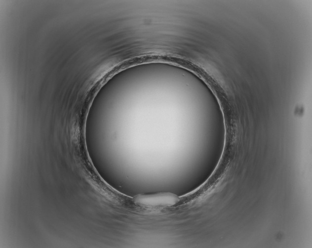 X0000097000969200802151411