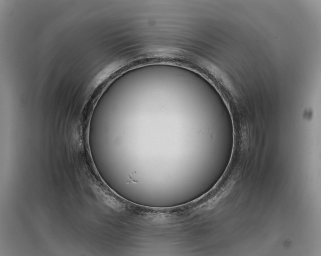 X0000097000970200802151411