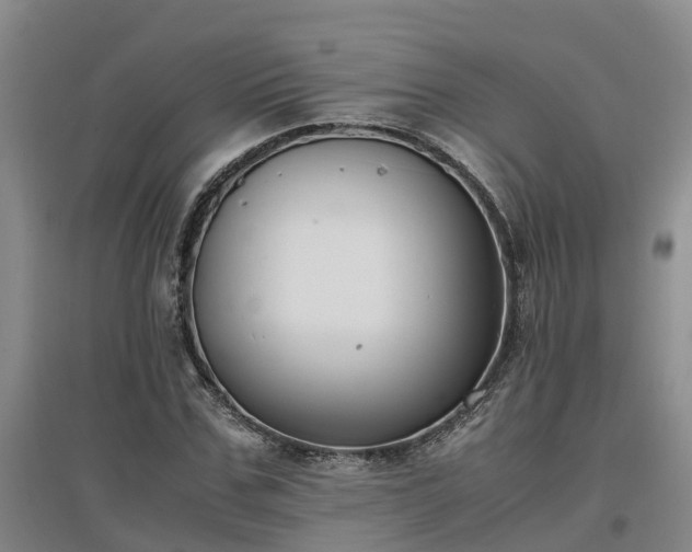 X0000097000971200802151411