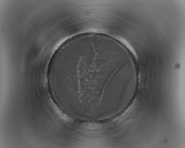 X0000097000972200802151411