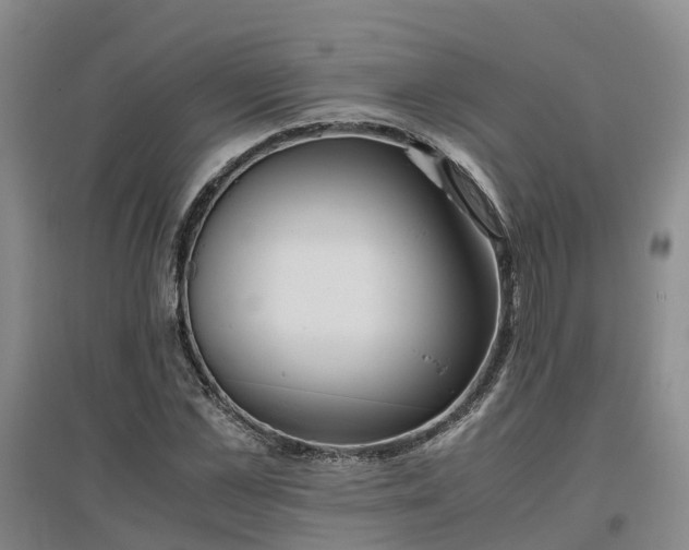 X0000097000973200802151411