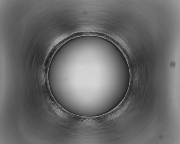 X0000097000974200802151411