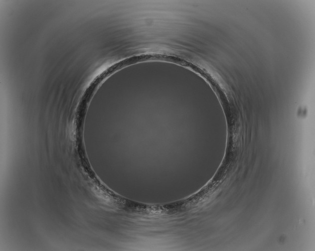 X0000097000975200802151411