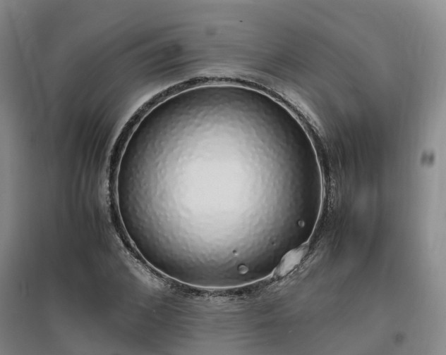 X0000097000976200802151411