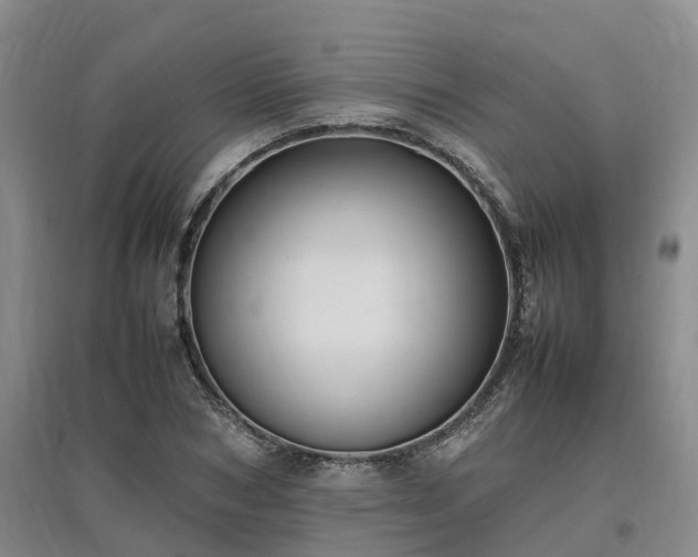 X0000097000978200802151411