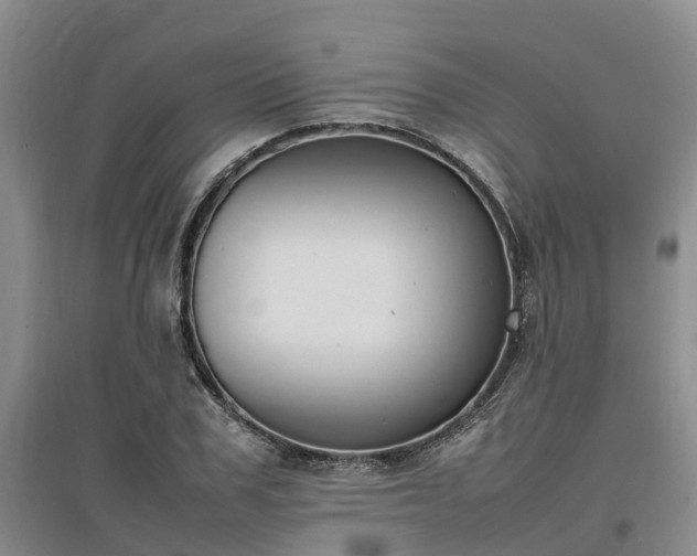 X0000097000979200802151411