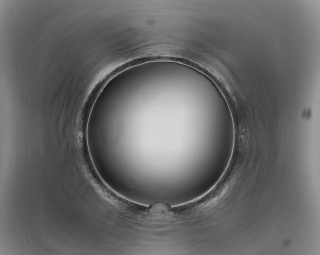 X0000097000981200802151410