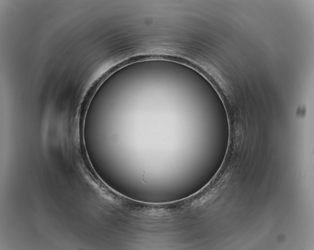 X0000097000982200802151410