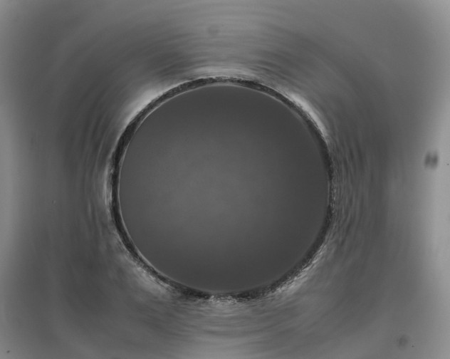 X0000097000983200802151410