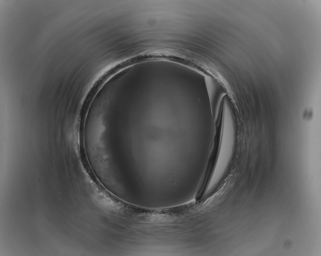 X0000097000984200802151410