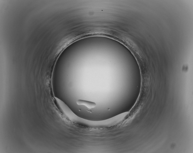X0000097000985200802151410