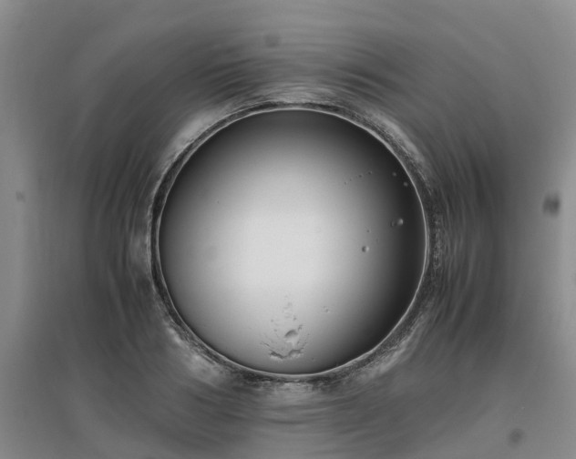 X0000097000986200802151410