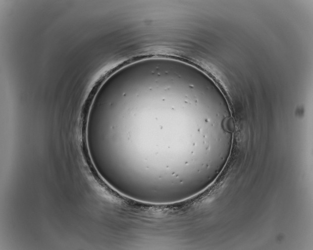X0000097000987200802151410