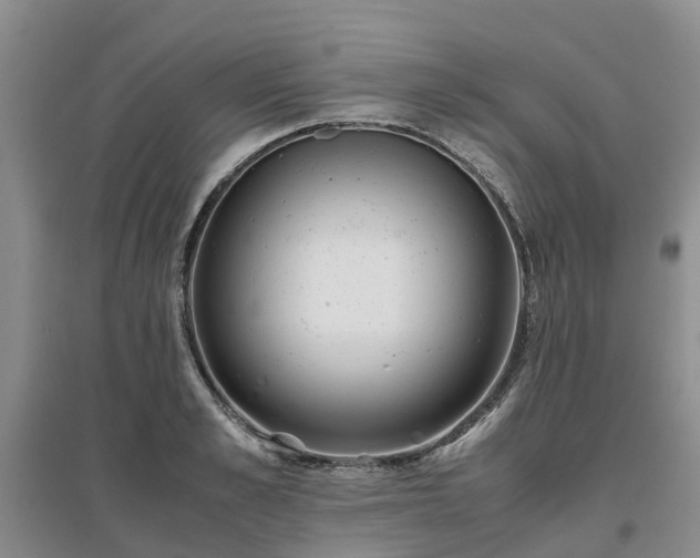 X0000097000989200802151410