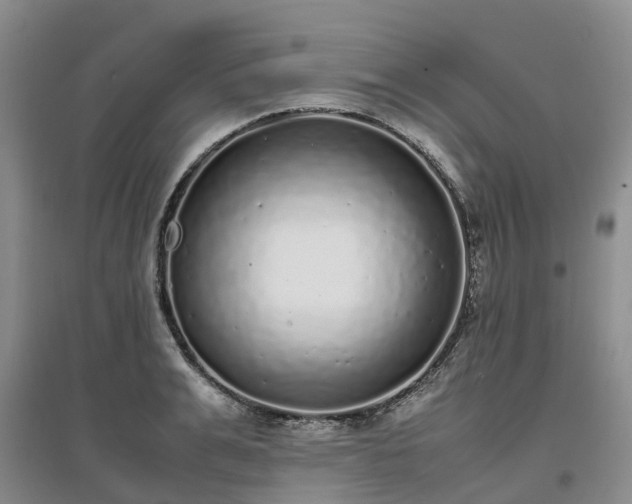 X0000097000991200802151410
