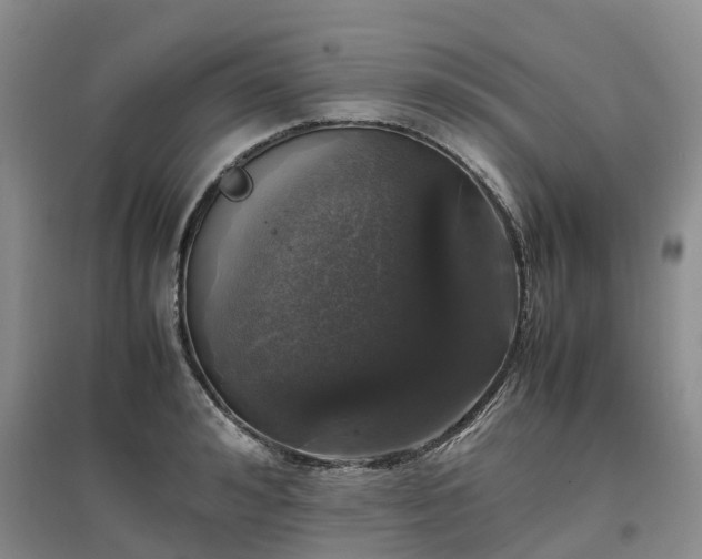 X0000097000992200802151410