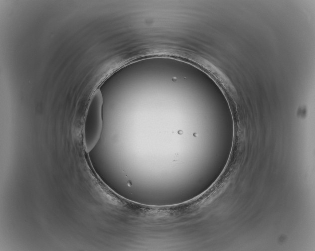 X0000097000993200802151410