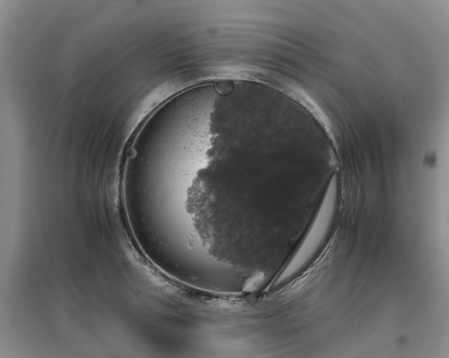 X0000097000994200802151410