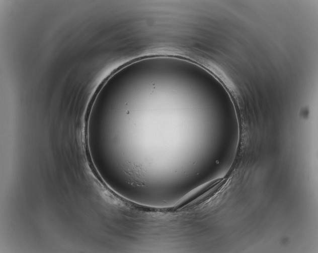 X0000097000996200802151410