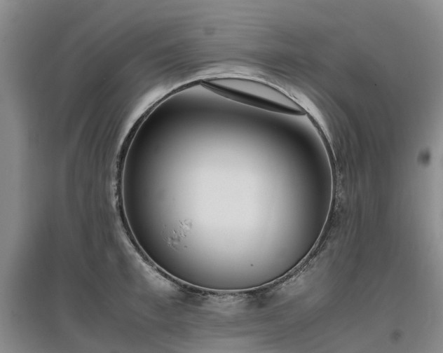 X0000097000997200802151410