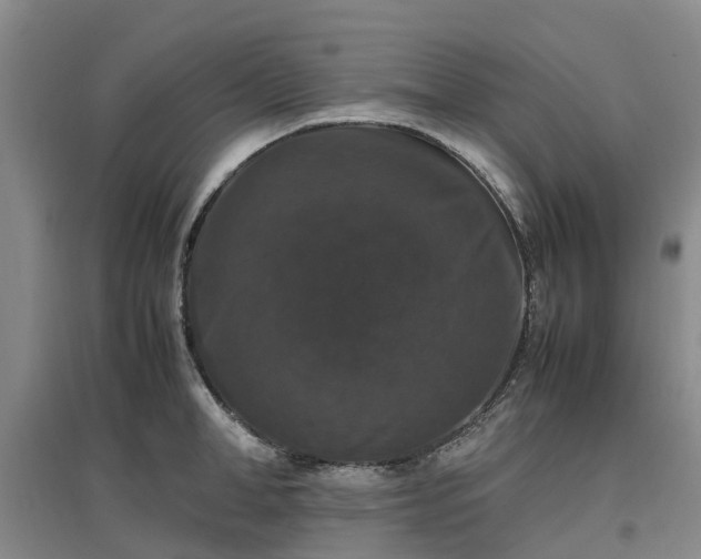 X0000097000998200802151410