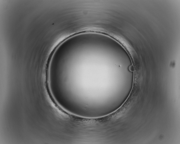 X0000097000999200802151410